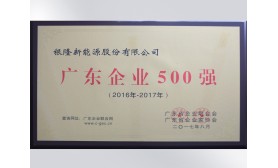 2017年廣東企業500強